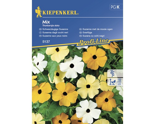 Semințe de flori Kiepenkerl mix Thunbergia