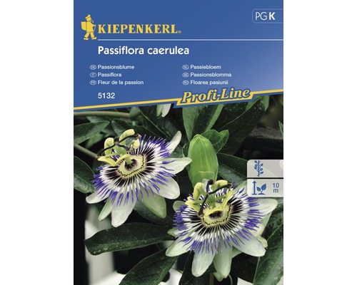 Semințe de flori Kiepenkerl, Floarea Pasiunii