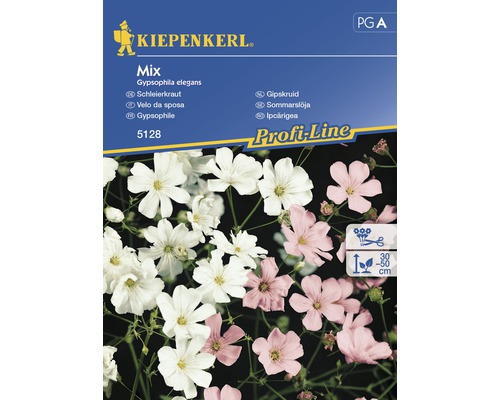 Semințe de Gypsophlia mix Kiepenkerl