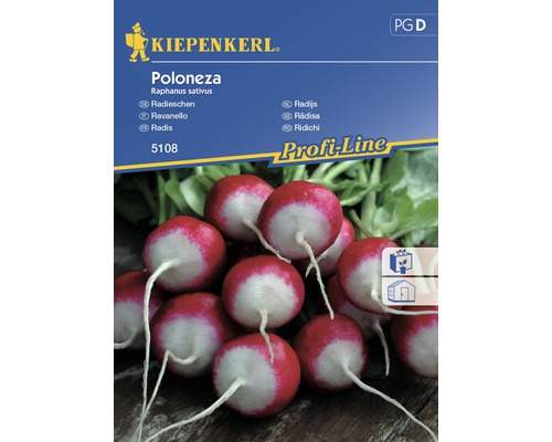 Semințe de legume Kiepenkerl, ridichi poloneze