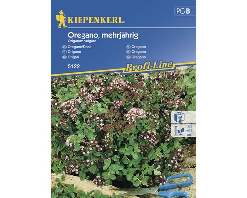Semințe de plante aromatice Kiepenkerl, oregano