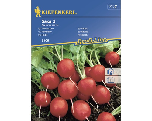 Semințe de legume Kiepenkerl, ridichi Saxa 3