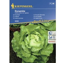 Semințe de salată frunze Dynamite Kiepenkerl-thumb-0