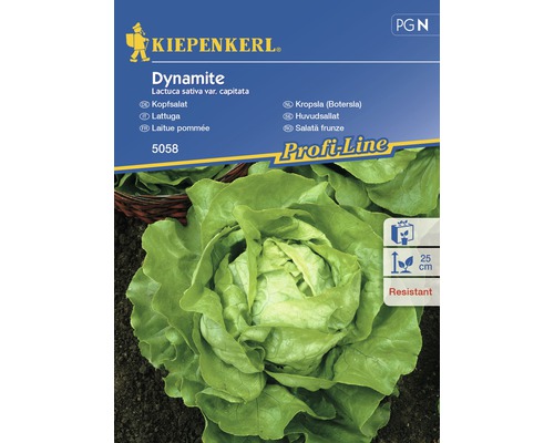Semințe de salată frunze Dynamite Kiepenkerl-0
