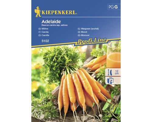 Semințe de legume Kiepenkerl, morcovi Adelaide