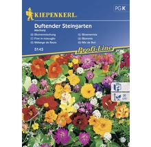 Semințe de flori parfumate Kiepenkerl-thumb-0
