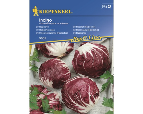 Semințe de legume Kiepenkerl, cicoare Radicchio Indigo