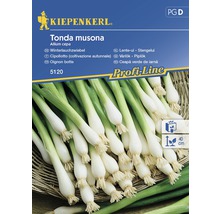 Semințe de legume Kiepenkerl, ceapă de iarnă Tonda Musona-thumb-0