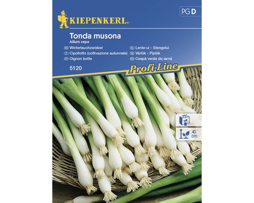 Semințe de legume Kiepenkerl, ceapă de iarnă Tonda Musona-0