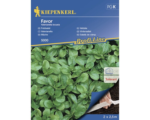 Semințe de salată de câmp la bandă Kiepenkerl-0