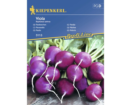 Semințe de legume Kiepenkerl, ridichi mov