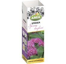 Ambalaj Spiraea douglasii arbust ornamental