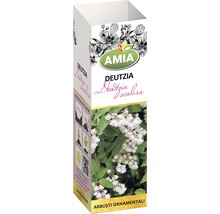 Ambalaj Deutzia cu logo-ul Amia