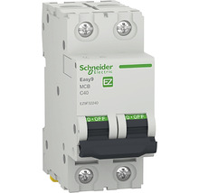 Disjunctor electric modular Schneider Easy9 2P 40A 4,5kA, curbă C