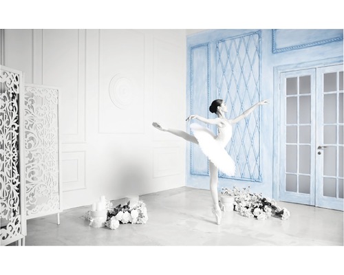 Tablou canvas Cold Ballet 95x150 cm