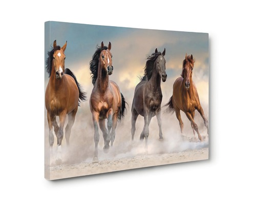 Tablou de perete cu patru cai la galop