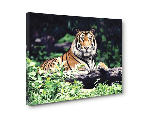Tablou canvas cu un tigru odihnindu-se în junglă