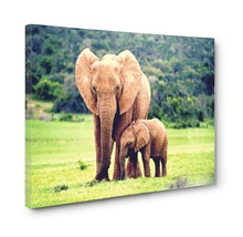 Tablou canvas Familie de elefanți 60x90 cm-thumb-1