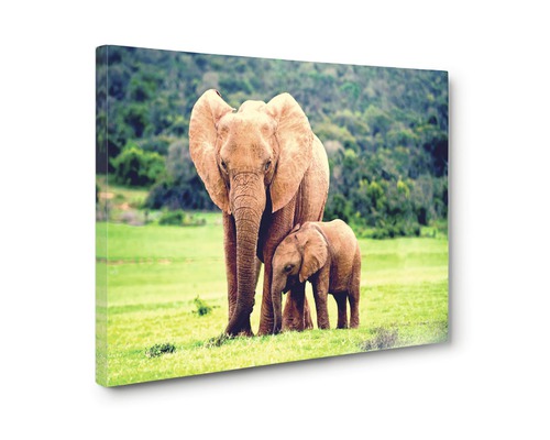 Imprimeu pe pânză cu mamă elefant și pui de elefant în natură