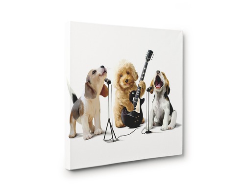 Tablou pe pânză cu trei câini, dintre care unul cântă la chitară, iar ceilalți doi cântă