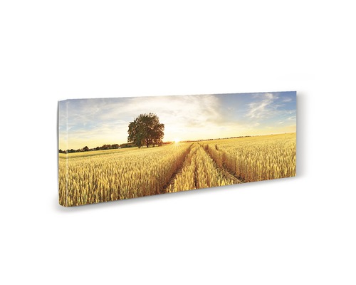 Tablou canvas cu un câmp, un copac și răsărit de soare