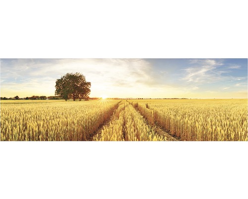 Tablou canvas Corn field 50x150 cm