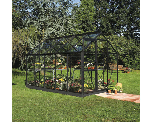 Seră grădină Halls Popular 106 sticlă securizată 3 mm 193x319 cm negru Seră cu plante în grădină.