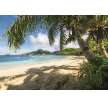 Fototapet hârtie 8-126 Castaway 368x 254 cm