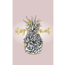 Imagine decorativă cu ananas cu suculente și textul Rămâi dulce