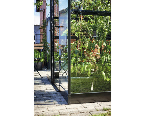 Seră cu plante de tomate în grădină