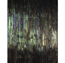 Fototapet vlies X4-1081 Dark Wings 200x250 cm