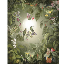 Fototapet vlies X4-1100 Wildlife Birds 200x250 cm