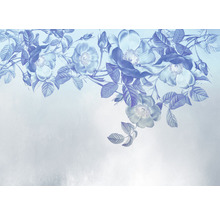 Fototapet vlies X7-1094 Blue Aura 350x250 cm