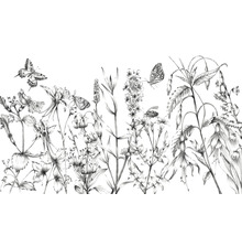 Fototapet vlies X8-1085 Butterfly Field 400x250 cm