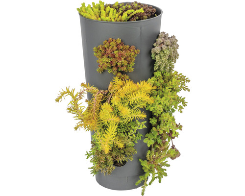 Jardinieră verticală plantată cu suculente