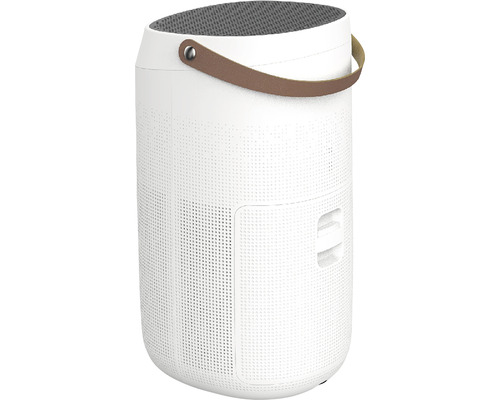 Purificator de aer cu mâner