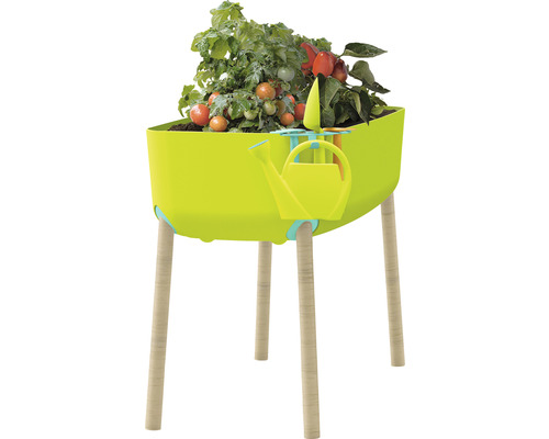 Jardiniere supraînălțată cu plante de roșii și unelte de grădinărit