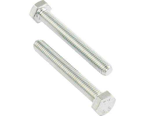 Două șuruburi hexagonale din metal