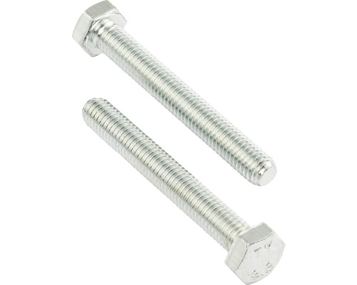 Două șuruburi hexagonale din metal
