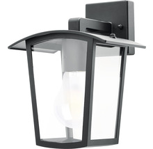 Lumină de perete exterioară neagră cu sticlă transparentă