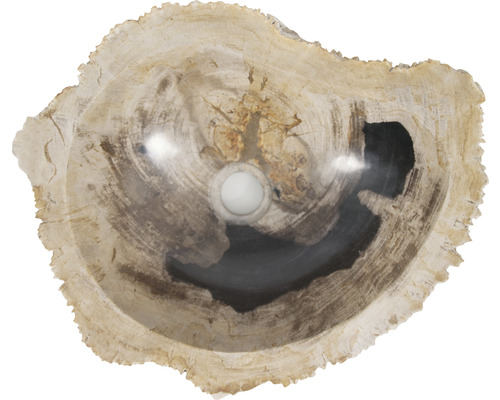 Chiuvetă din lemn pietrificat