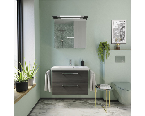 Baie cu dulap sub lavoar, dulap cu oglindă și toaletă