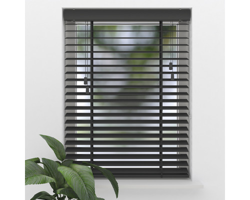 Jaluzea neagră la fereastră cu plantă de apartament