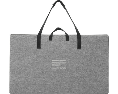 Geantă de transport EcoFlow