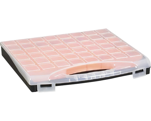 Cutie de sortare cu capac transparent pentru depozitarea pieselor mici