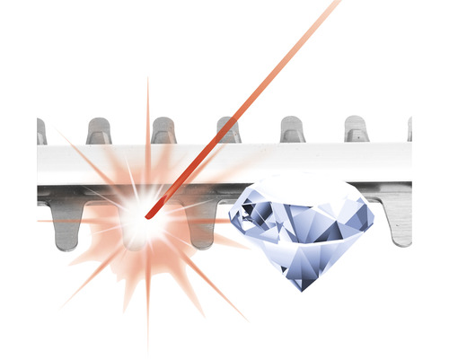 Ilustrație a unui gard viu tăiat cu laser, cu diamante