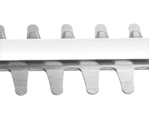 Prim-plan cu lama unui gard viu