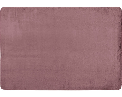 Covor pufos Romantic rose 120x170 cm