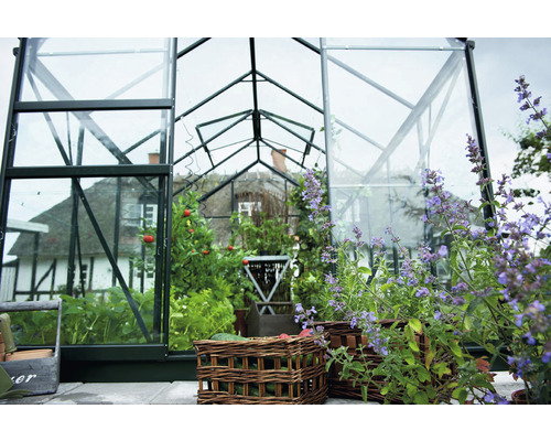 Seră cu plante și straturi de legume