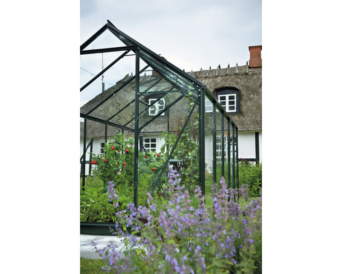 Seră cu plante în fața unei case cu acoperiș de paie